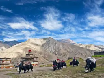 Lower Dolpo Trek